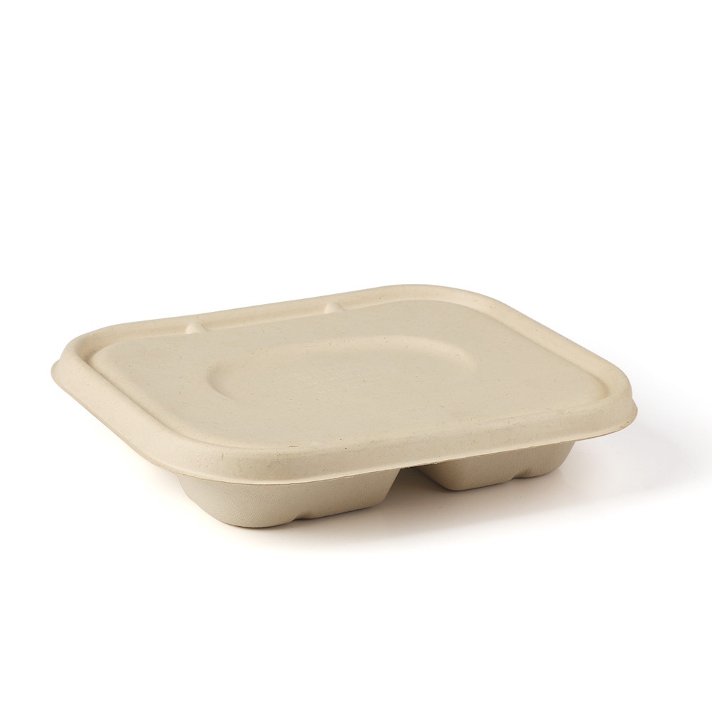 Degradable and environmentally friendly take-away food box