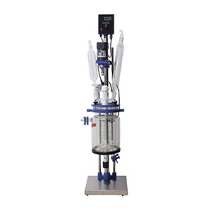 Reactor de vidre encamisat 1-5L