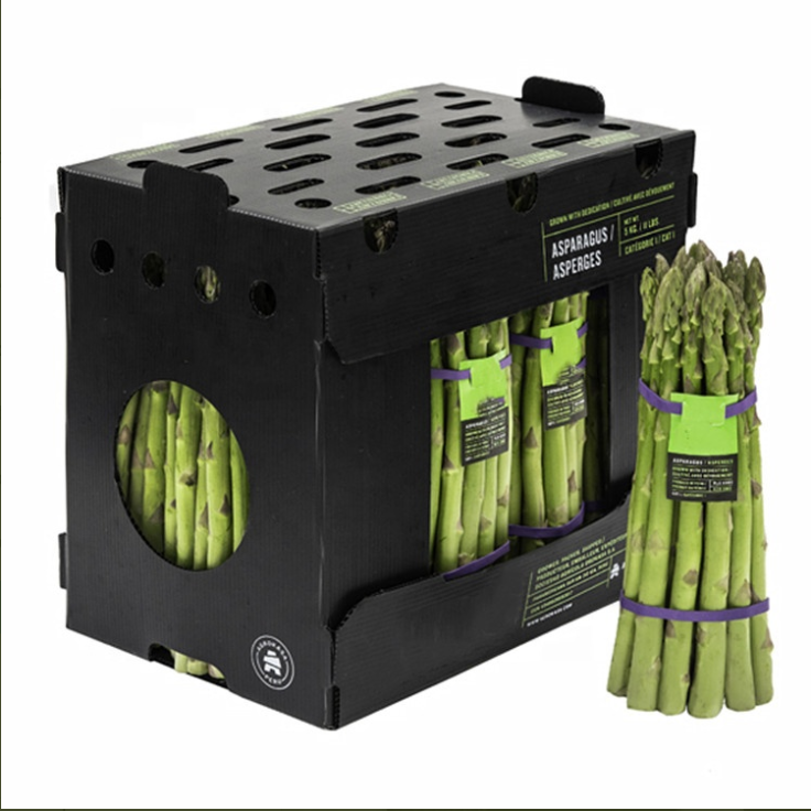 Asparagus Box PP Corflute Plastic Box 11Lbs Corflute Correx Asparagus Plastic Packaging Box