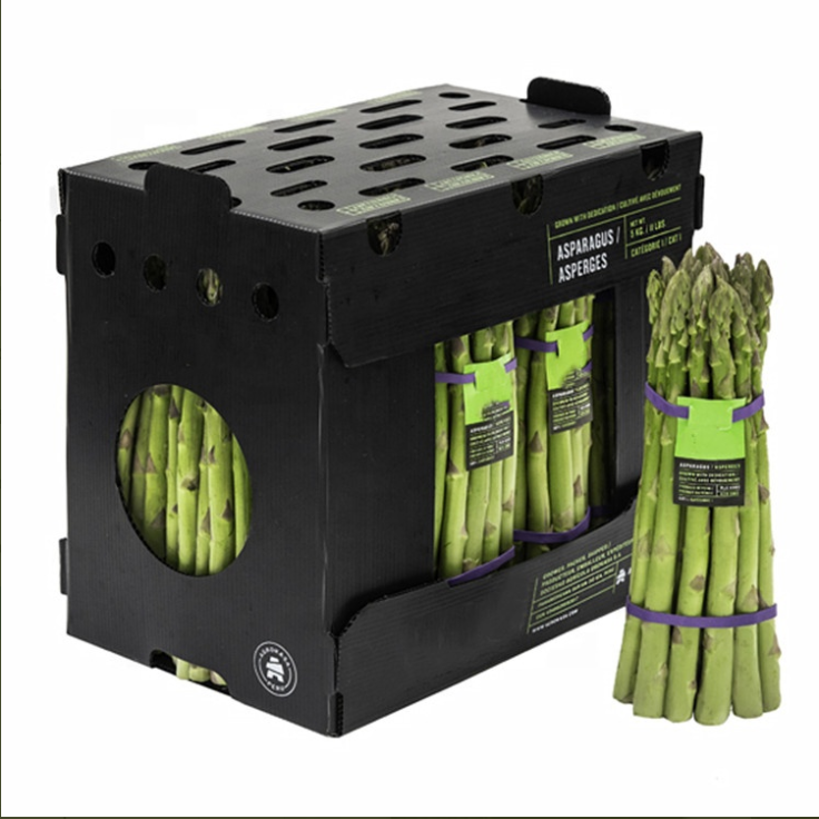 Asparagus Box Pp Corflute Plastic Box 11Lbs Corflute Correx Asparagus Plastic Packaging Box