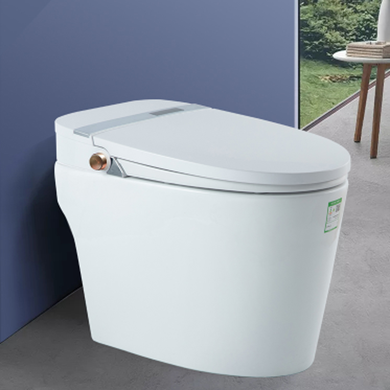 200E series Smart Toilet automatic flip-over multiple filtering white