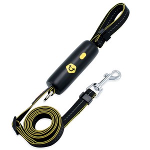 Portable Dog Leash DL-11