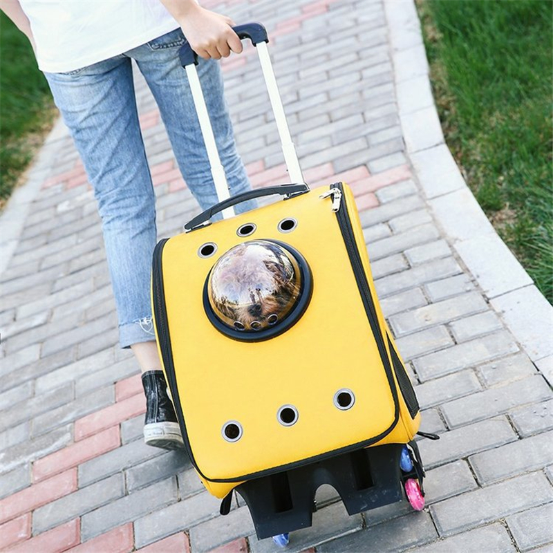 Cool Cat Trolley Bag Dog bag – FTR16