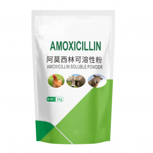 Amoxicillin حل پاؤڊر