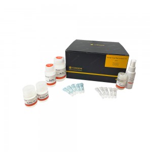ឧបករណ៍ញែក RNA សរុបរបស់សត្វ