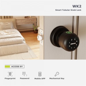 Wk2 Smart Tubular Knob Lock