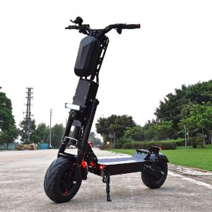 Adult Electric Motorcycle