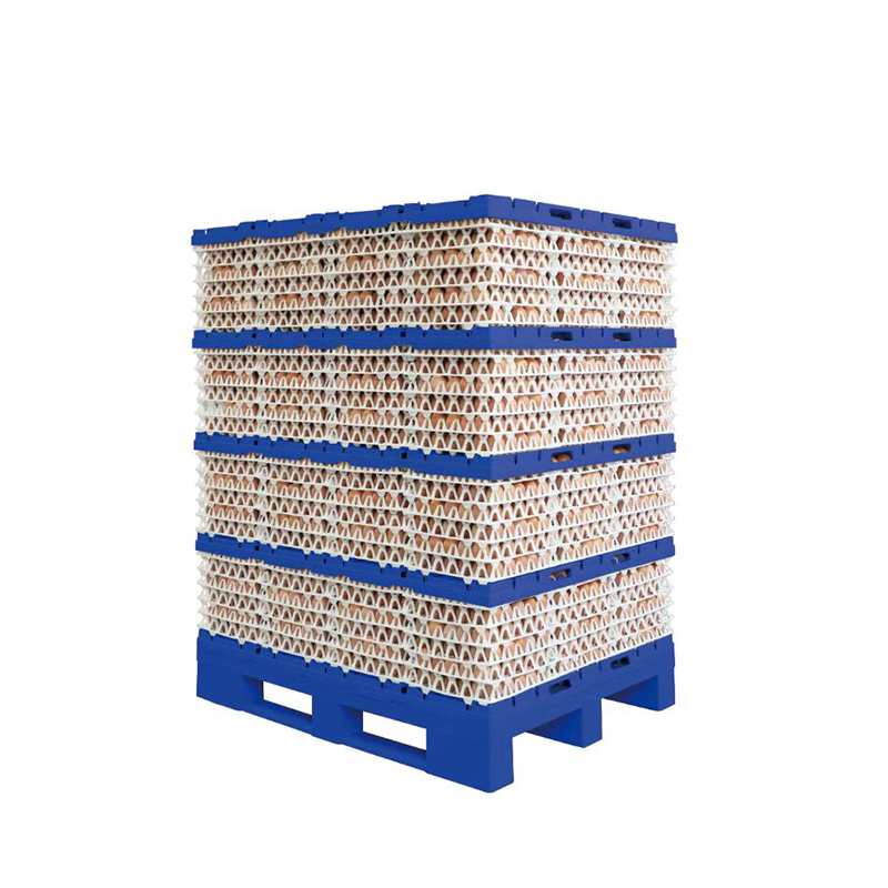 brand high quality layer eggs transportation packing equipment and stabilizes and protect the egg tray/ET01,ET02