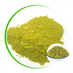 فيڪٽري آفر 100٪ قدرتي سوفورا جپانيڪا ايڪسٽريڪٽ، QUERCETIN پاؤڊر 95٪