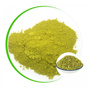 BAYANIN KASASHE 100% KYAUTA SOPHORA JAPONICA EXTRACT, QUERCETIN POWDER 95%