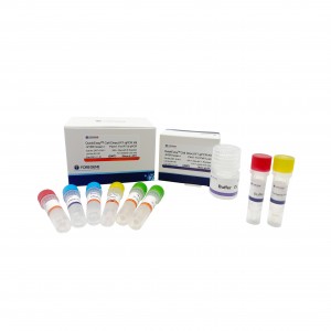 የሕዋስ ቀጥታ RT QPCR Kit—SYBR GREEN I