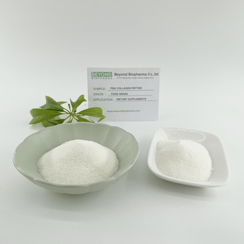 Hydrolyzed Type 1 & 3 Collagen Powder from Fish Skin