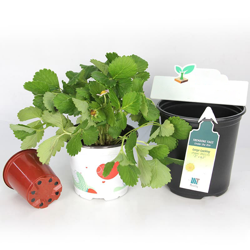 Round Plastic Pot Garden Nursery Plant Pots