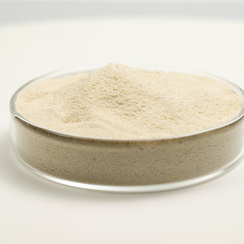 DeMet Fe (Iron Methionine)