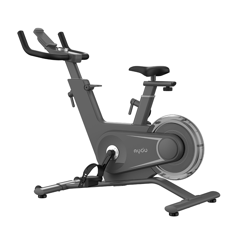 6KG Home Use Smart Spinning Bike Model No.: SP106C