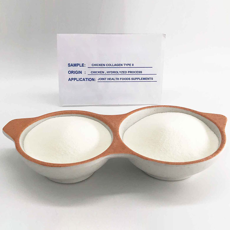 Chicken Cartilage extract Hydrolyzed Collagen type ii