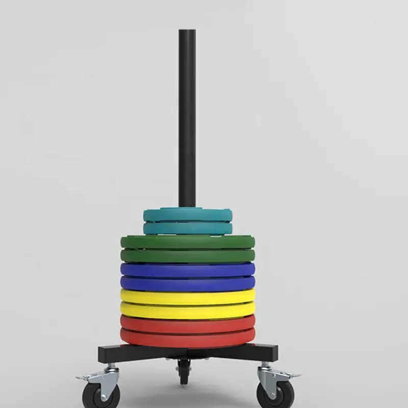 Weight Plate Rack