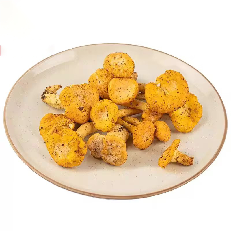 Fresh Wild Chanterelle Mushroom