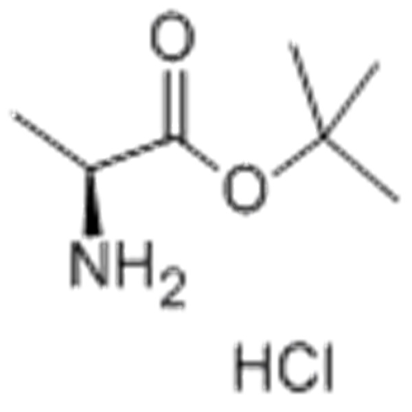 13404-22-3 H-L-Ala-OtBu·HCl