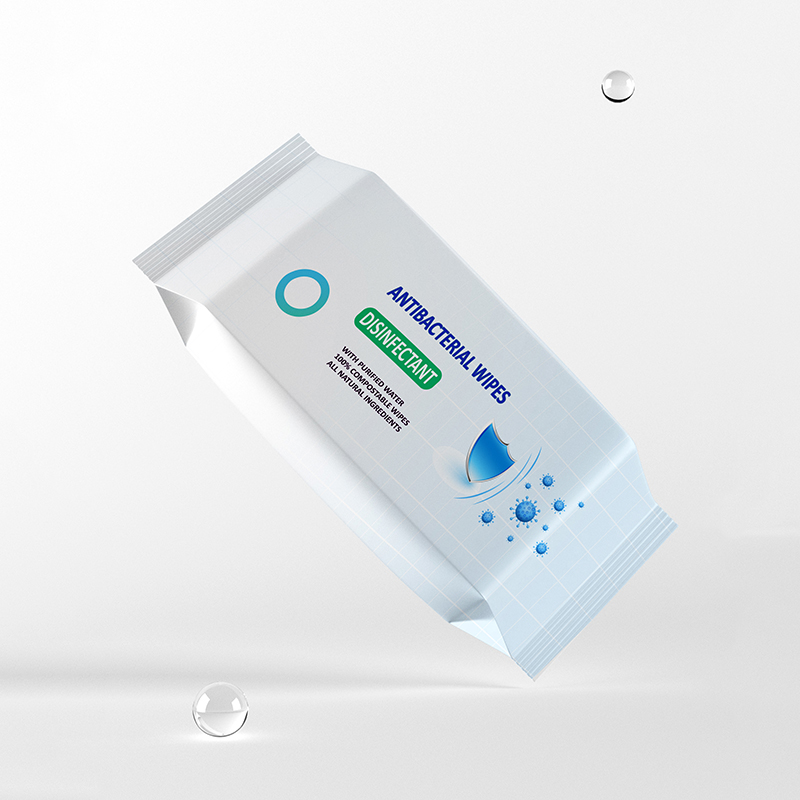 Salviette igienizzanti antibatteriche Cleanze per le mani