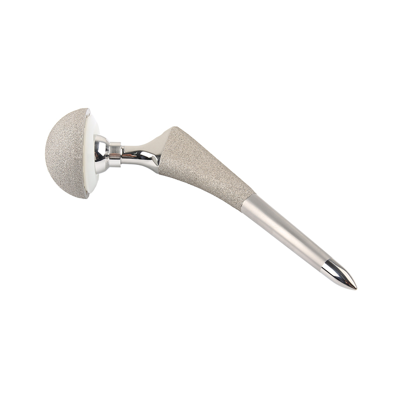 FDS Cementless Stem Hip Joint Prosthesis