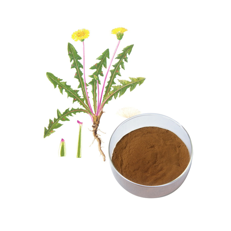 Dandelion Extract