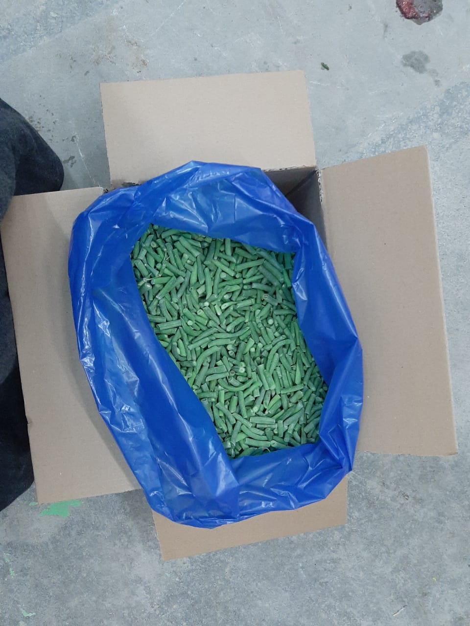 Vegetables Preserved Long Bean Food Green Bean in Frozen Vegetable