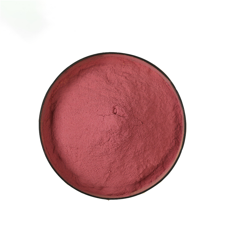 Manufacturers supply beet root  powder