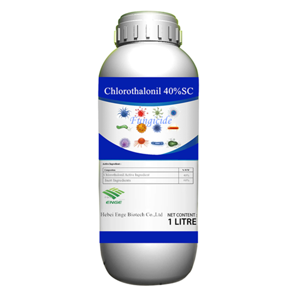 Fungicide Chlorothalonil 40%SC 75%WP