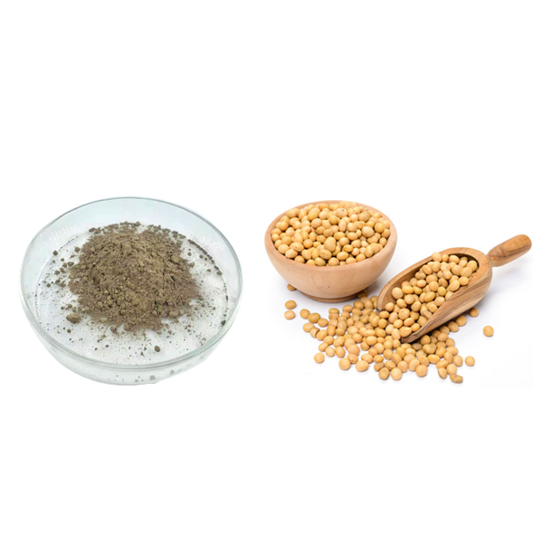 Aglycon سويا Isoflavones