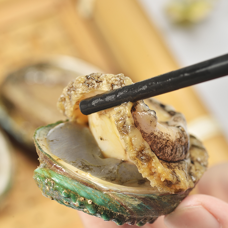 FROZEN BOILED ABALONE with shell, remove viscera