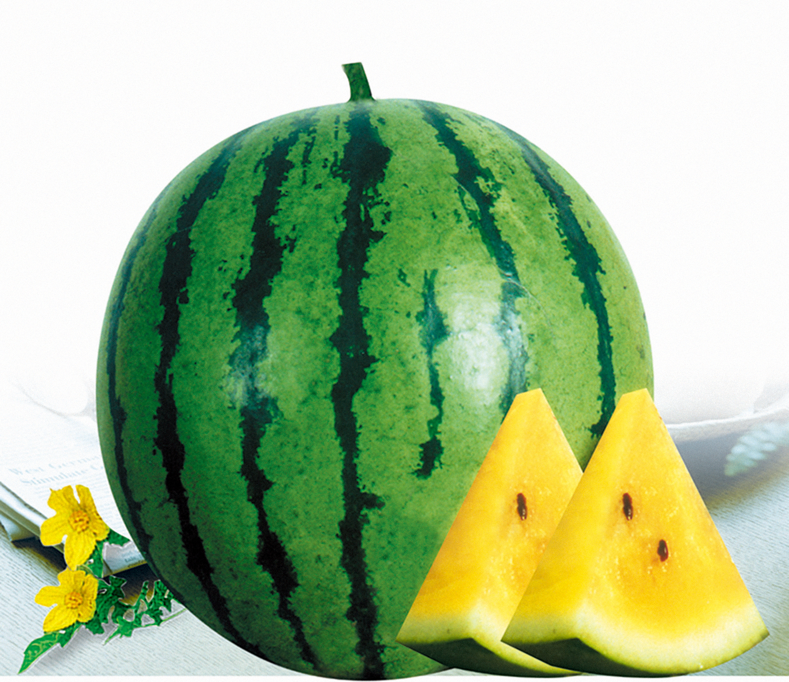 Early matured yellow flesh hybrid watermelon seeds for planting
