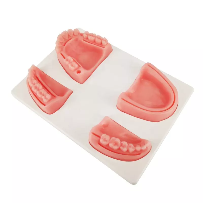 Bionic oral medicine gingival multifunctional suture pad