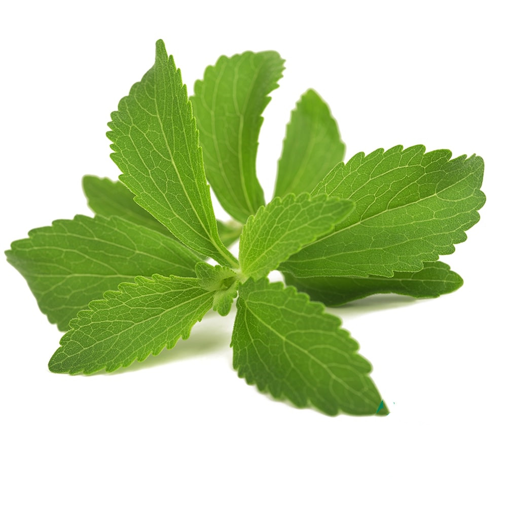 Stevia