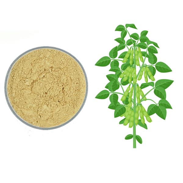 Soybean Extract