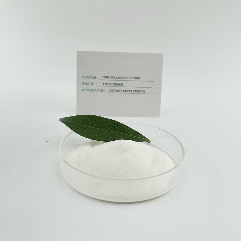 Hydrolyzed Fish Collagen Powder with Good Solubility