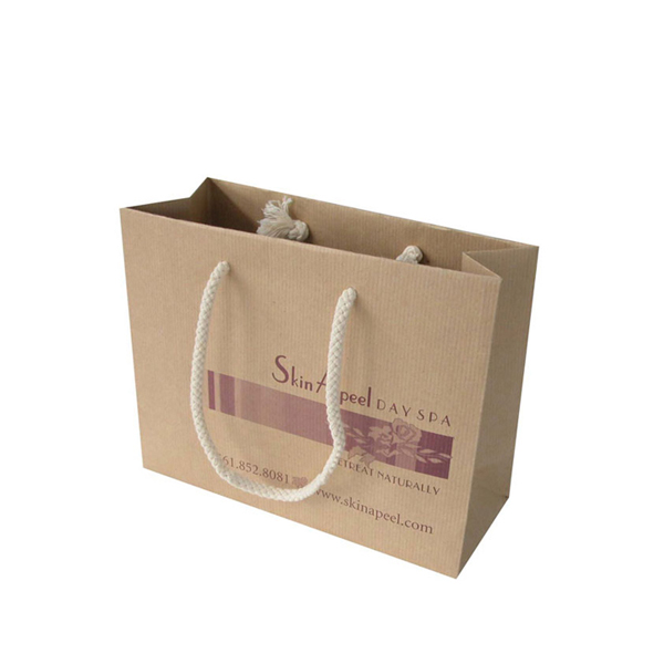 Wholesale Custom Logo Good Quality Paper Bag