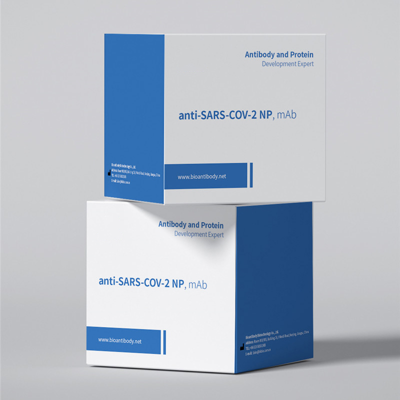 Anticorps monoclonal anti-SARS-COV-2 NP de souris