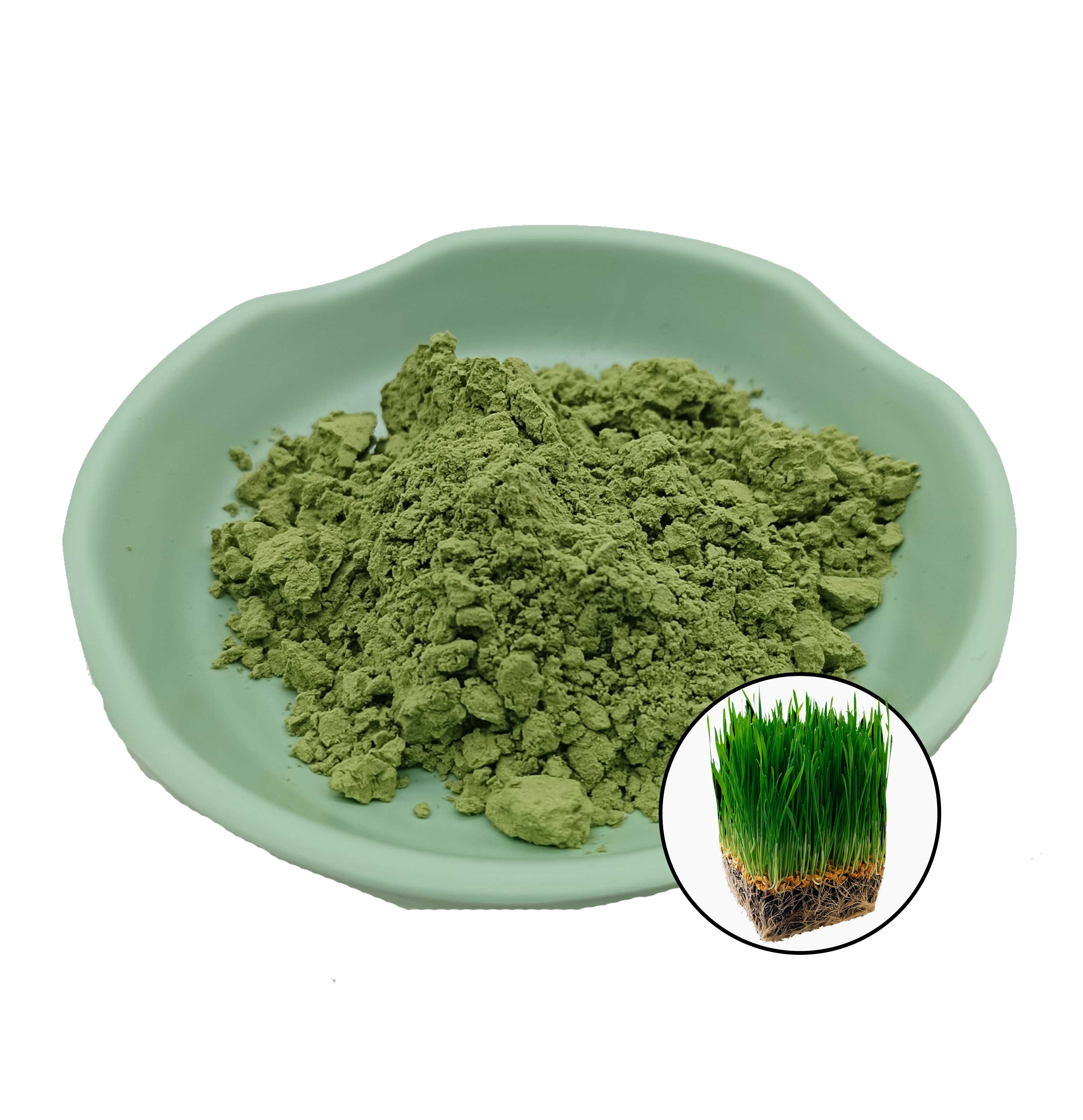 Natural Barley Grass Powder
