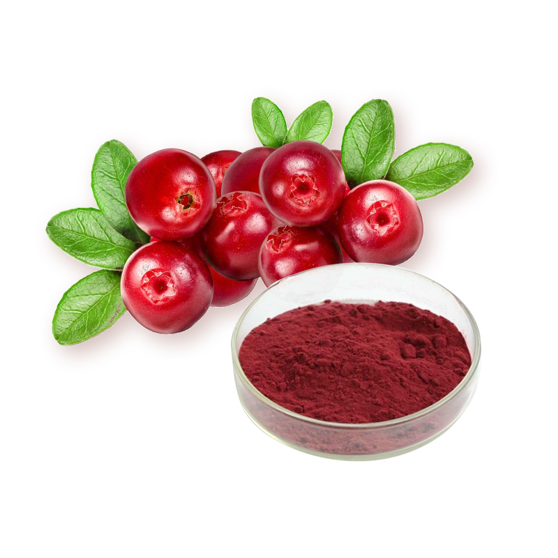 Cranberry extract