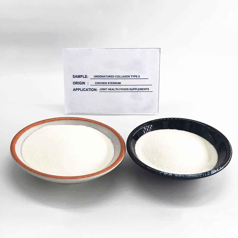 Undenatured Chicken Collagen type ii for Joint Health