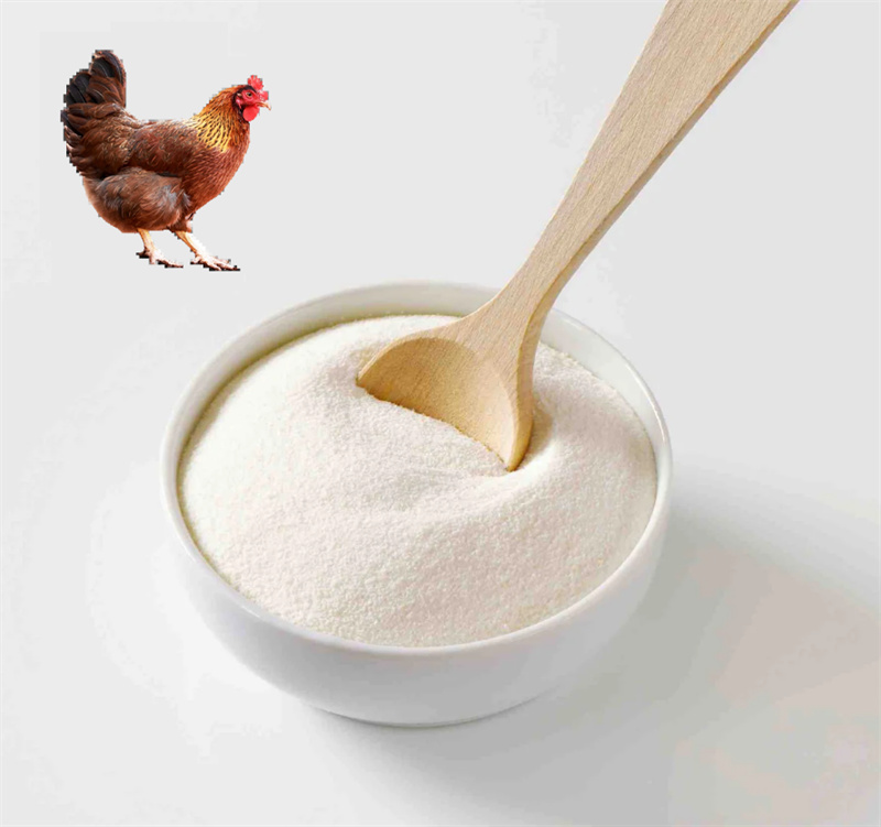 Chicken Type 2 Undenatured Collagen