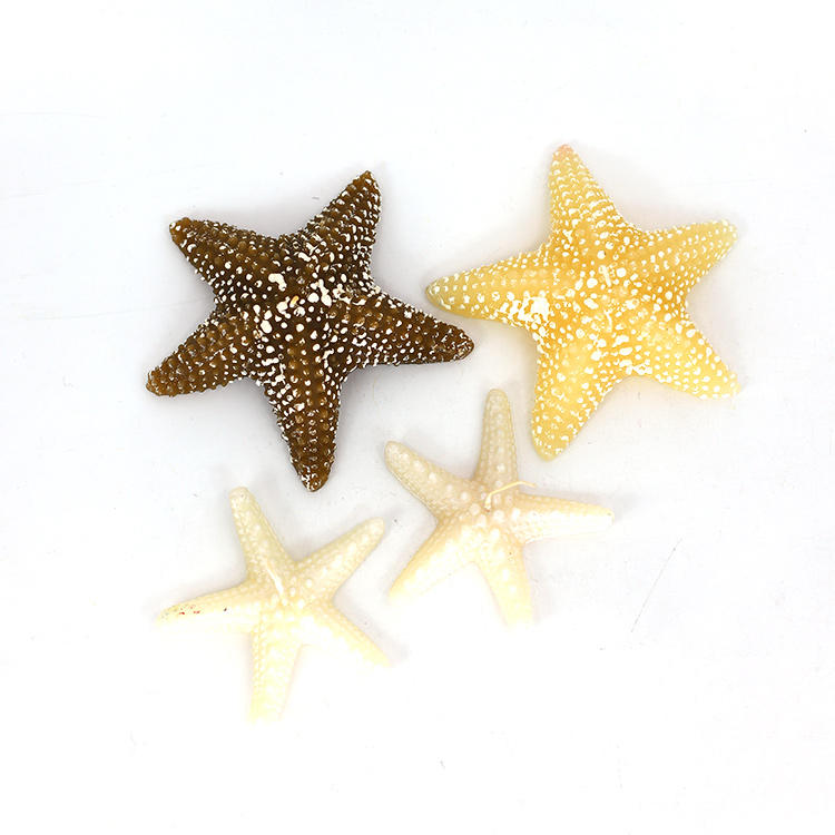 Кече жана үй жасалгасы үчүн түстүү Starfish шамы