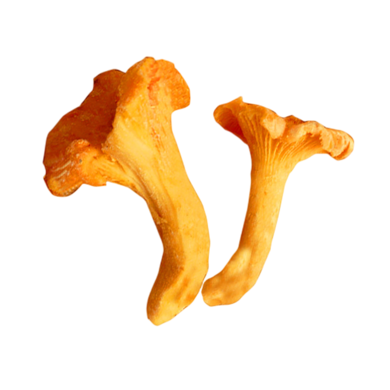 Frozen Chanterelles