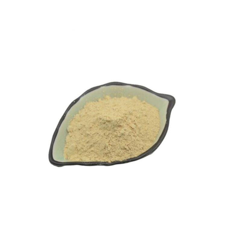 Wheat Germ Extract 1% Spermidine Powder for Men & Women Cellular Renewal