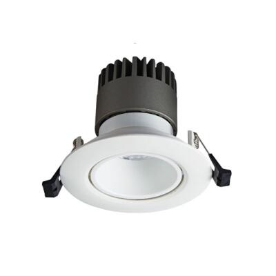 Spot Light DL9010 R1