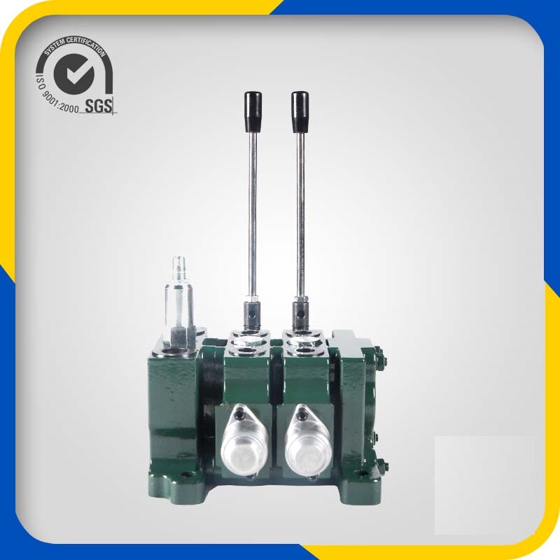 Special Price for China Multi-Way Flow Control Valve Dls50-L15e